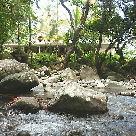 Citrus Creek Plantation La Plaine Exterior foto