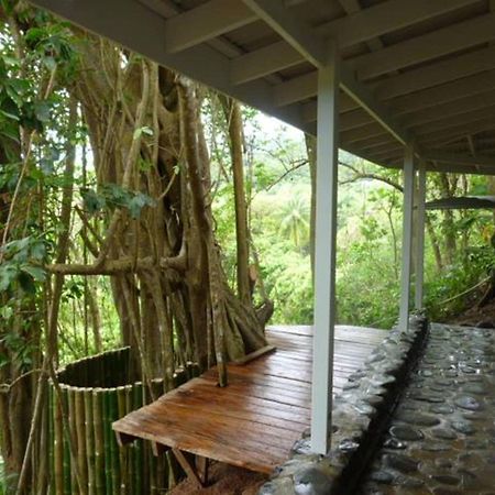 Citrus Creek Plantation La Plaine Exterior foto