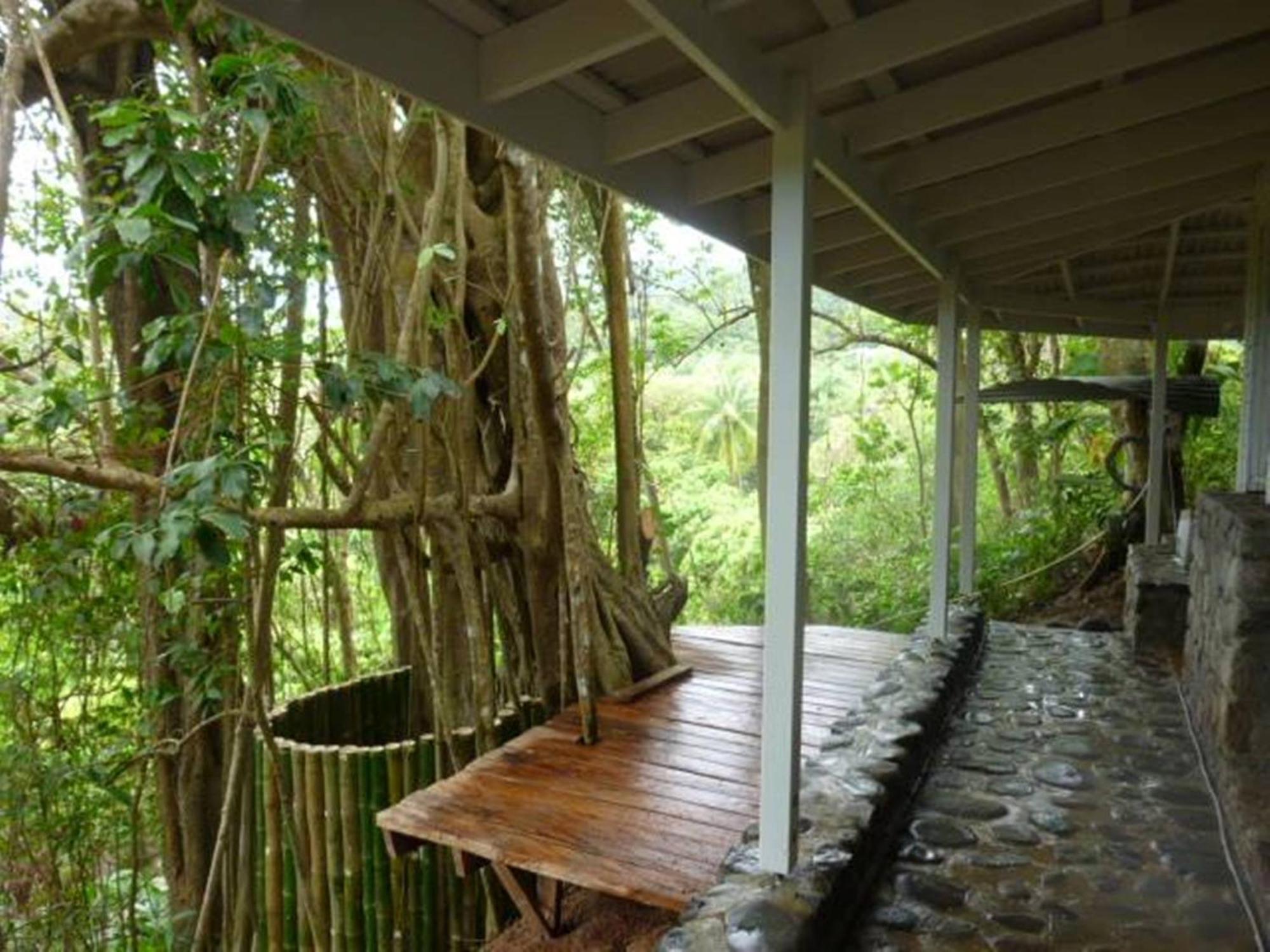 Citrus Creek Plantation La Plaine Exterior foto
