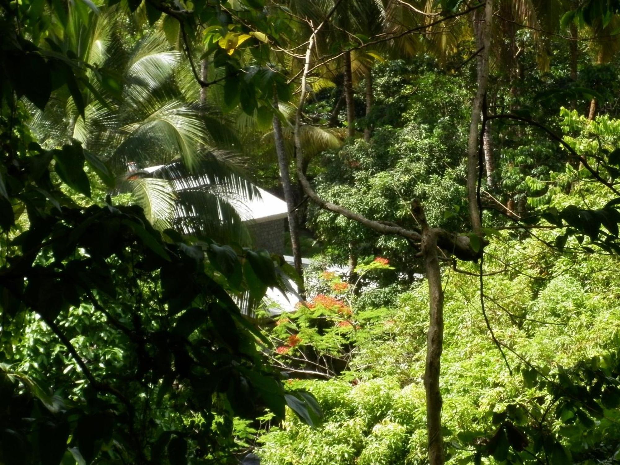 Citrus Creek Plantation La Plaine Exterior foto