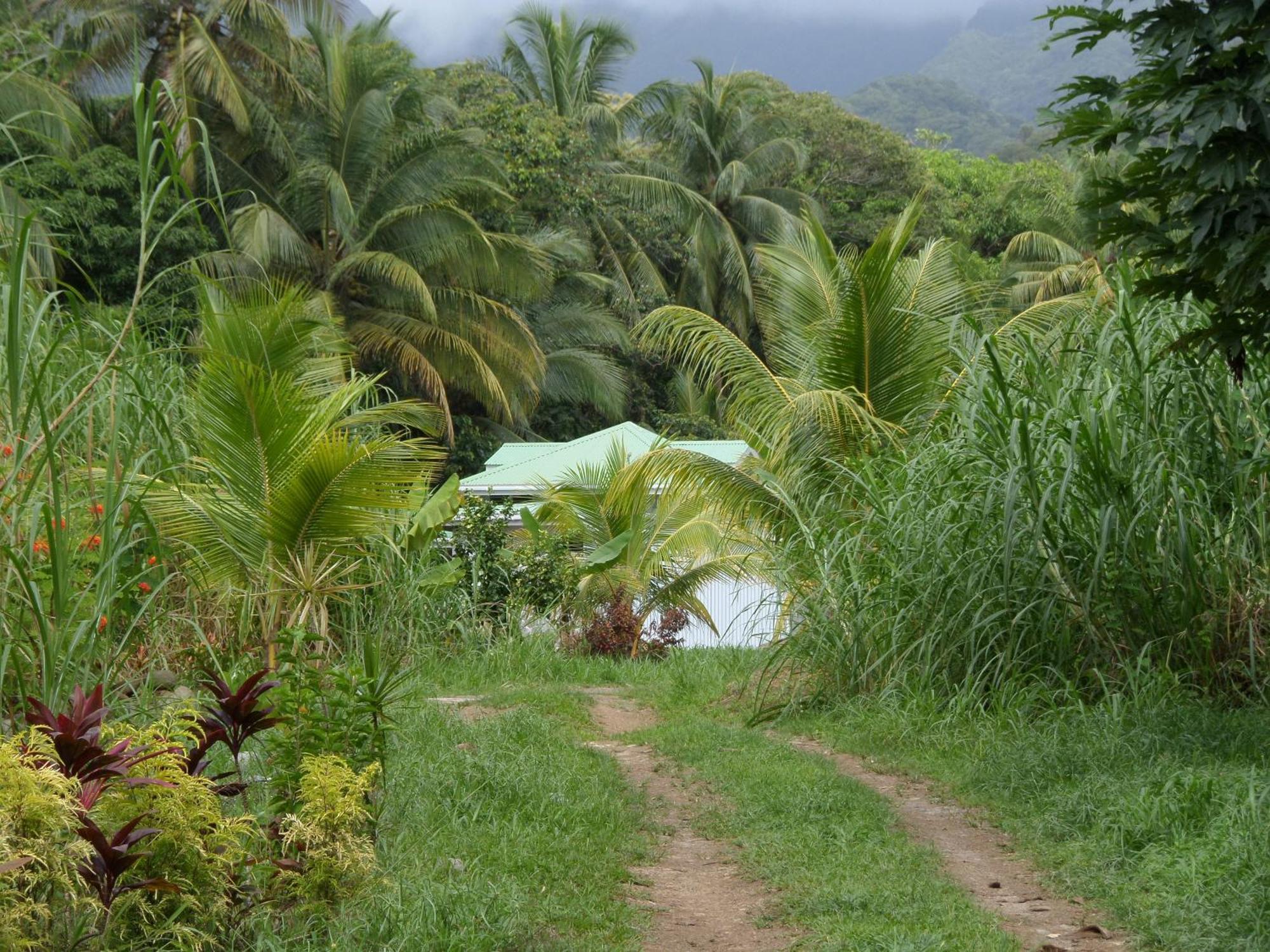 Citrus Creek Plantation La Plaine Quarto foto