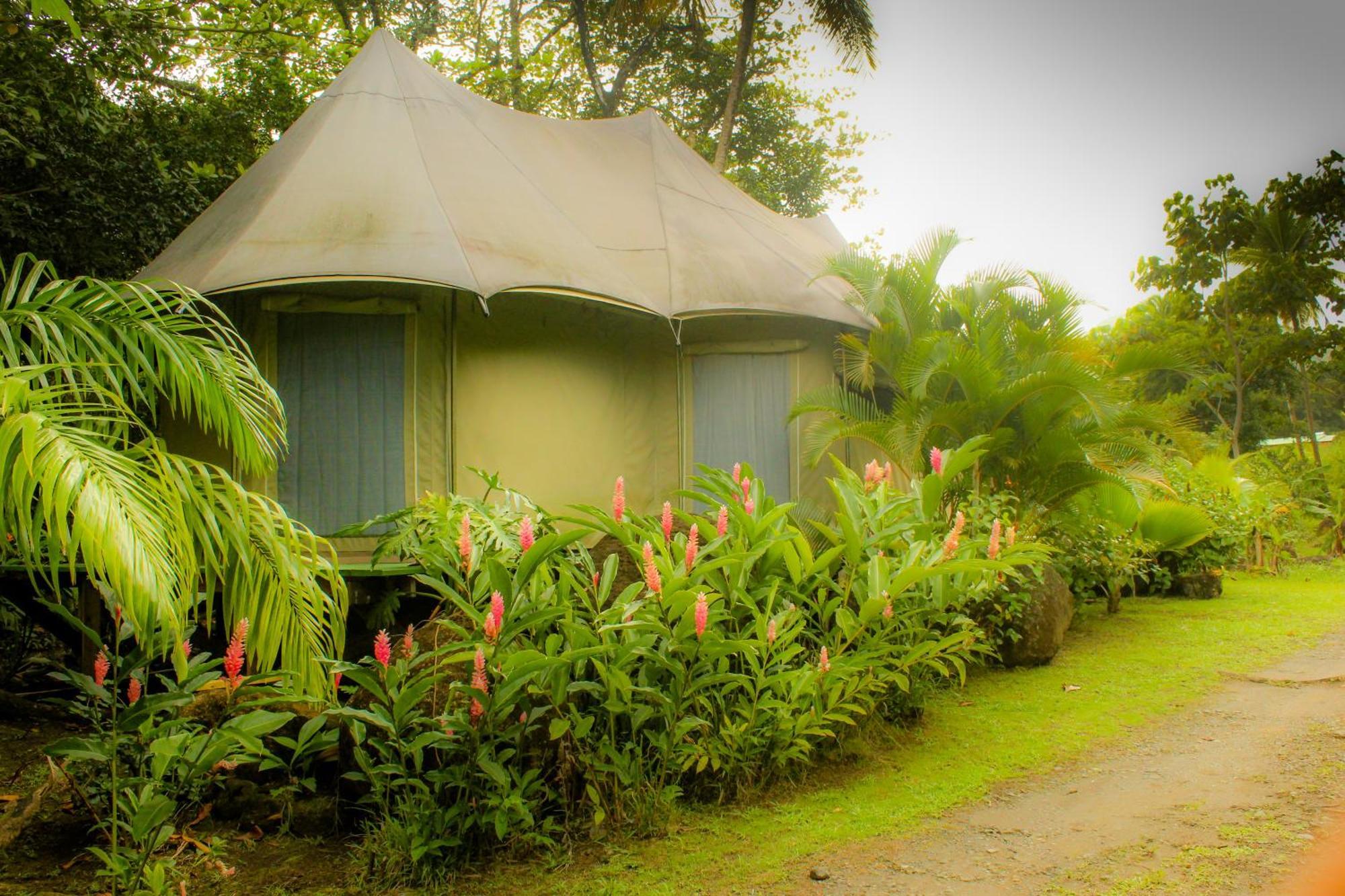 Citrus Creek Plantation La Plaine Quarto foto