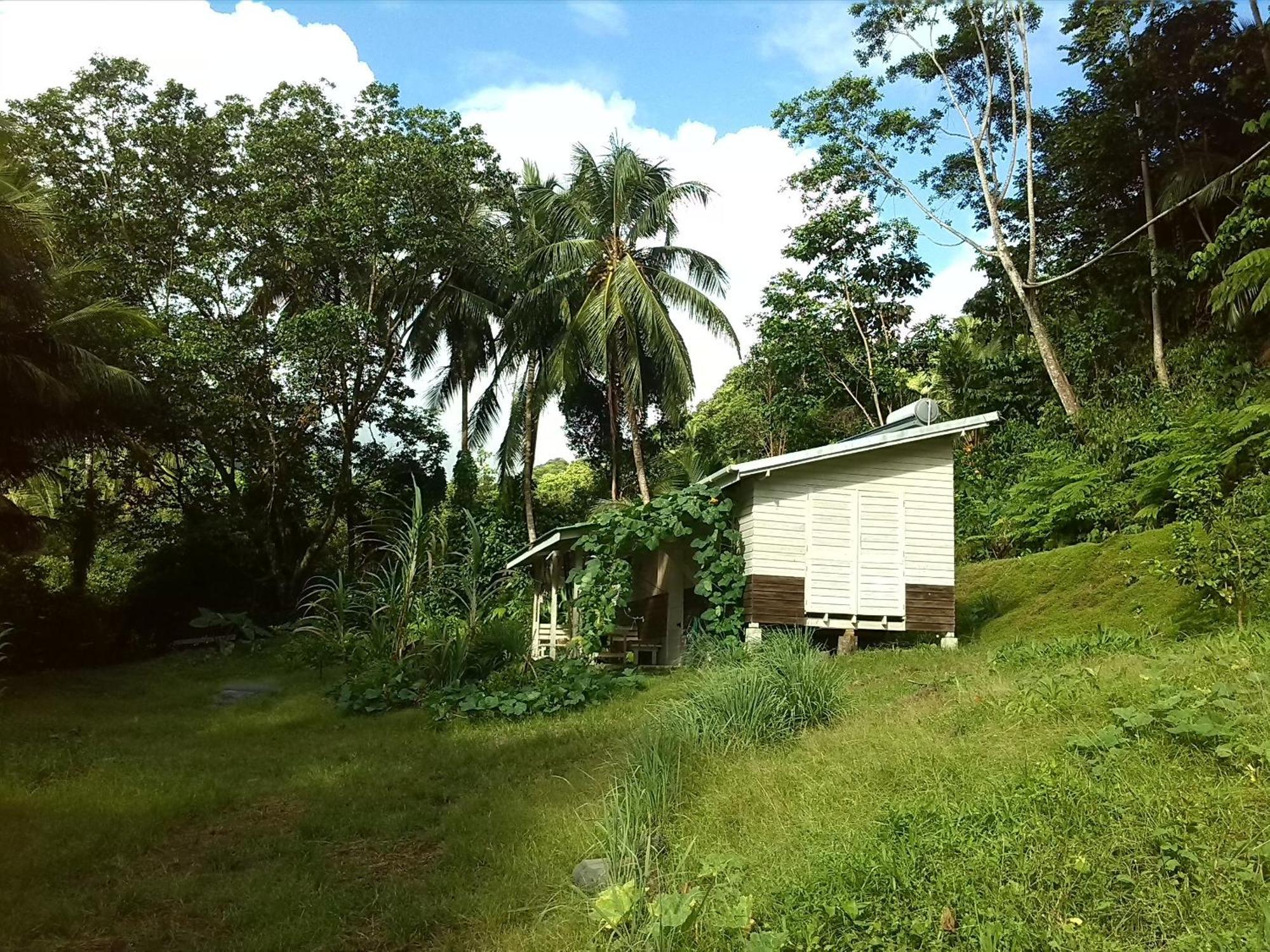 Citrus Creek Plantation La Plaine Quarto foto