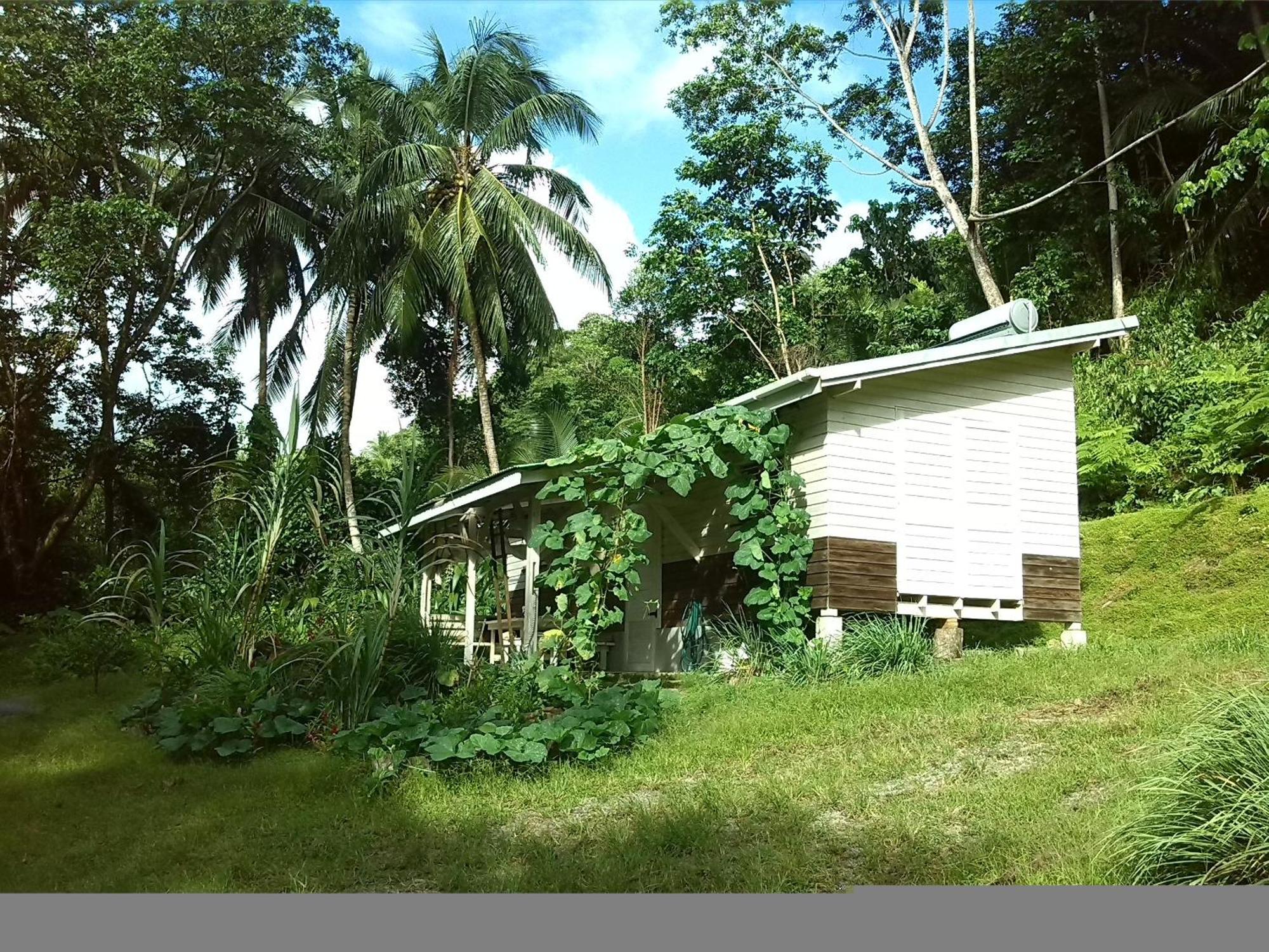 Citrus Creek Plantation La Plaine Quarto foto