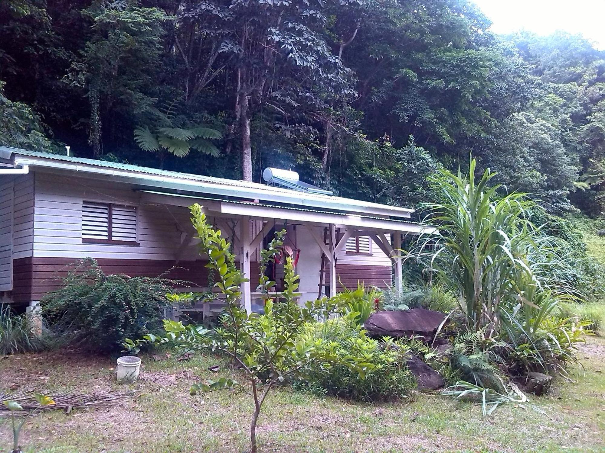 Citrus Creek Plantation La Plaine Quarto foto
