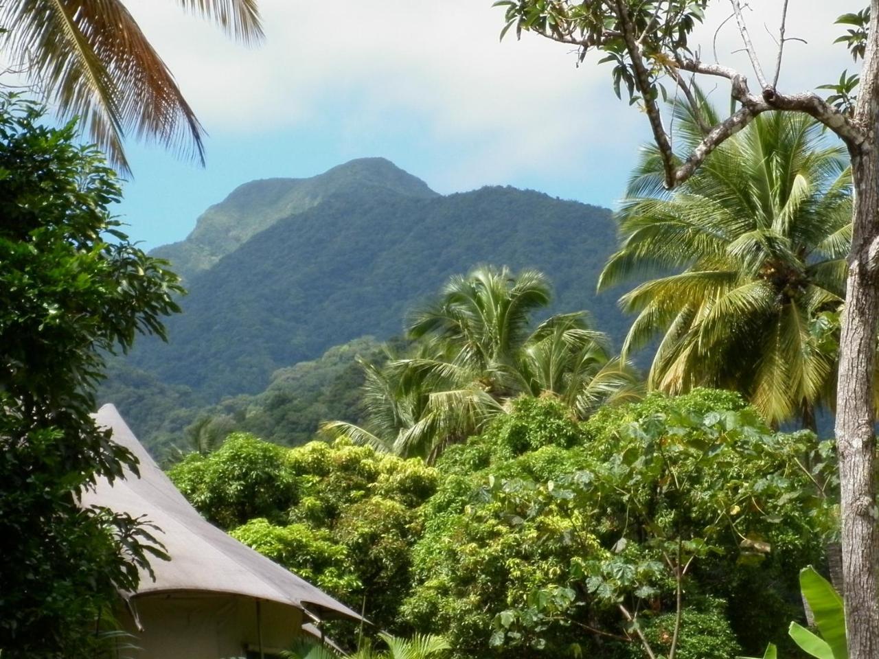 Citrus Creek Plantation La Plaine Exterior foto