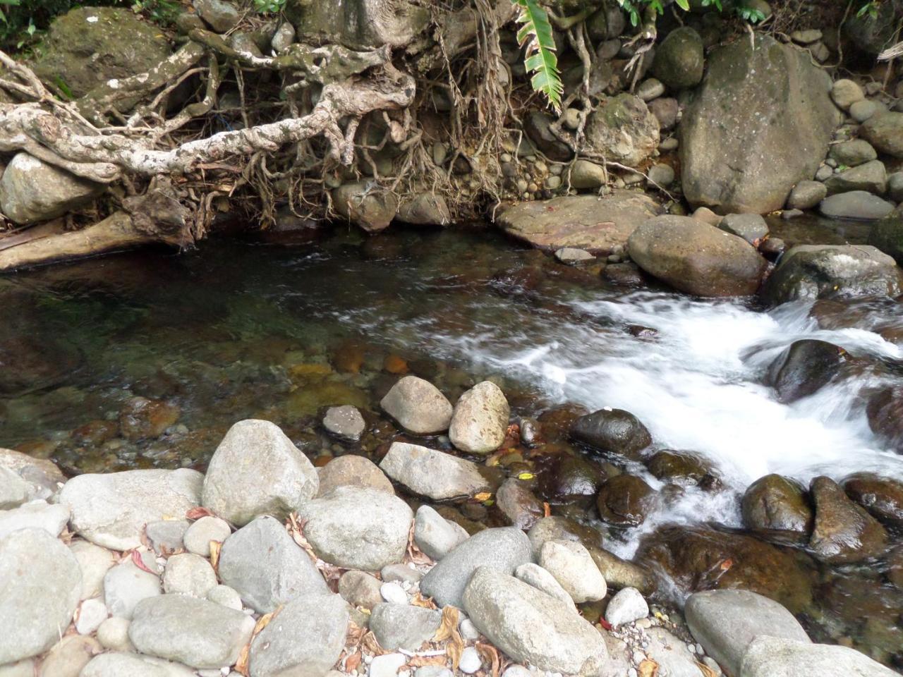 Citrus Creek Plantation La Plaine Exterior foto